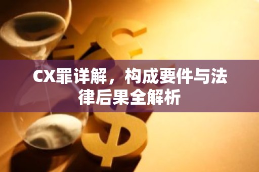 CX罪详解，构成要件与法律后果全解析