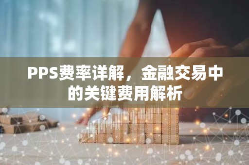 PPS费率详解，金融交易中的关键费用解析
