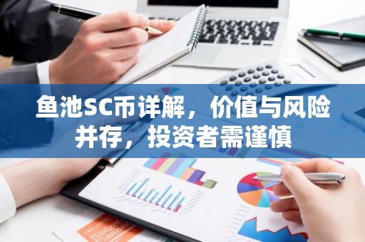 鱼池SC币详解，价值与风险并存，投资者需谨慎