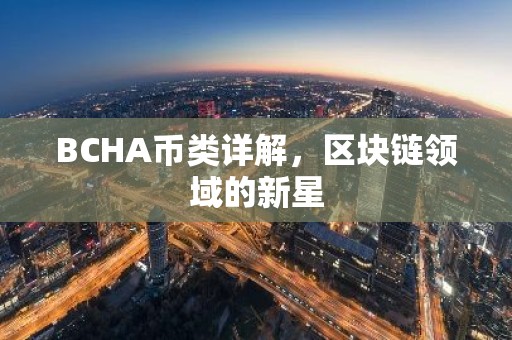 BCHA币类详解，区块链领域的新星