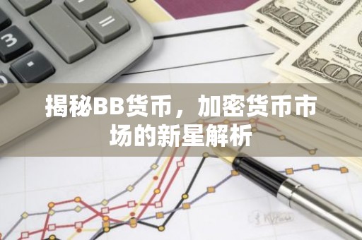 揭秘BB货币，加密货币市场的新星解析