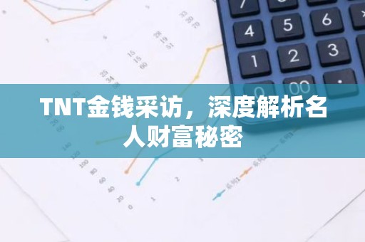 TNT金钱采访，深度解析名人财富秘密