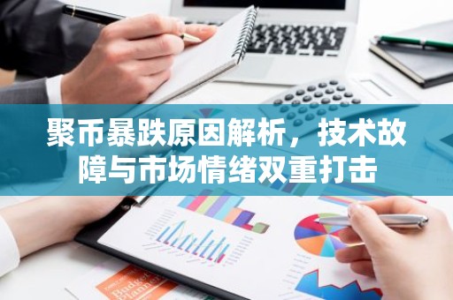 聚币暴跌原因解析，技术故障与市场情绪双重打击
