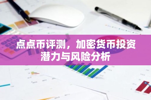 点点币评测，加密货币投资潜力与风险分析