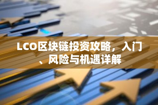 LCO区块链投资攻略，入门、风险与机遇详解