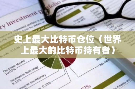 史上最大比特币仓位（世界上最大的比特币持有者）