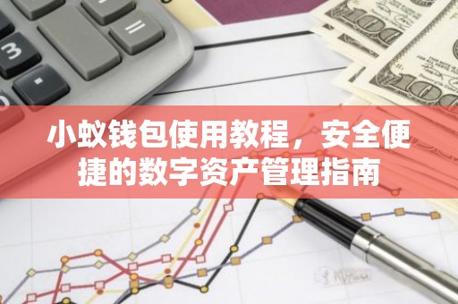 小蚁钱包使用教程，安全便捷的数字资产管理指南