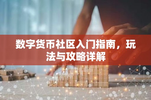 数字货币社区入门指南，玩法与攻略详解