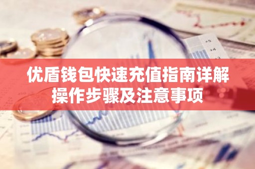 优盾钱包快速充值指南详解操作步骤及注意事项