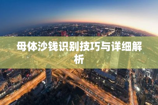 母体沙钱识别技巧与详细解析