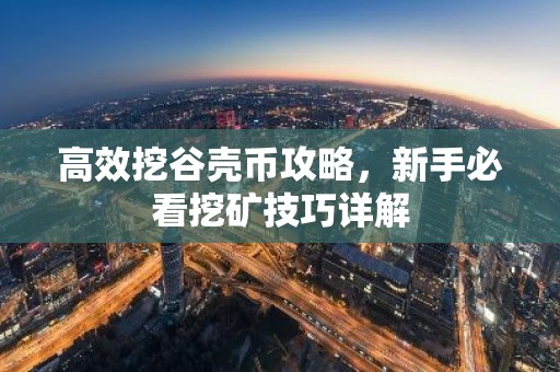 高效挖谷壳币攻略，新手必看挖矿技巧详解