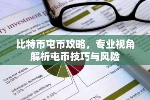 比特币屯币攻略，专业视角解析屯币技巧与风险