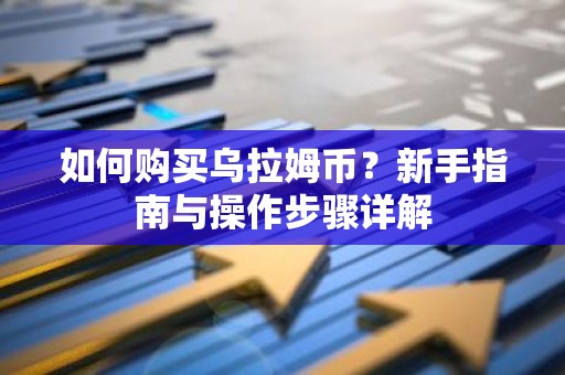 如何购买乌拉姆币？新手指南与操作步骤详解