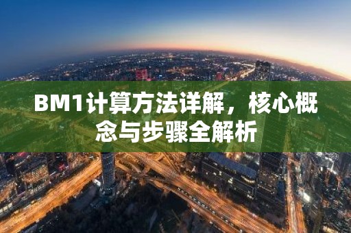BM1计算方法详解，核心概念与步骤全解析