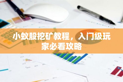 小蚁股挖矿教程，入门级玩家必看攻略