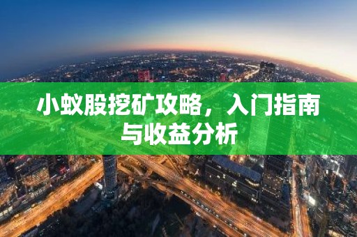 小蚁股挖矿攻略，入门指南与收益分析