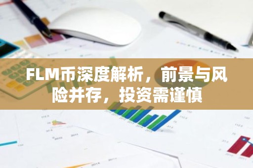 FLM币深度解析，前景与风险并存，投资需谨慎