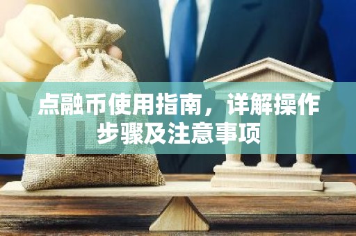 点融币使用指南，详解操作步骤及注意事项