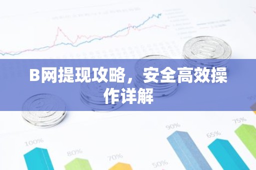 B网提现攻略，安全高效操作详解