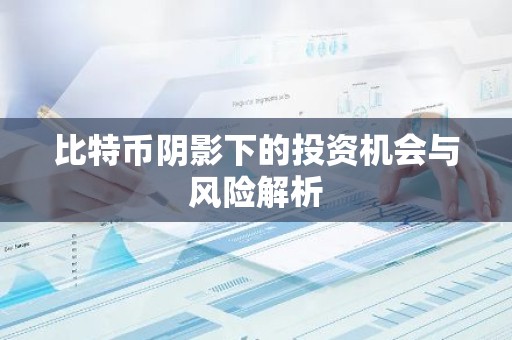 比特币阴影下的投资机会与风险解析