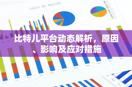 比特儿平台动态解析，原因、影响及应对措施