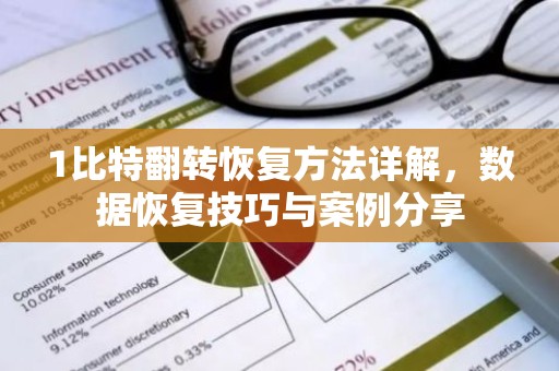 1比特翻转恢复方法详解，数据恢复技巧与案例分享