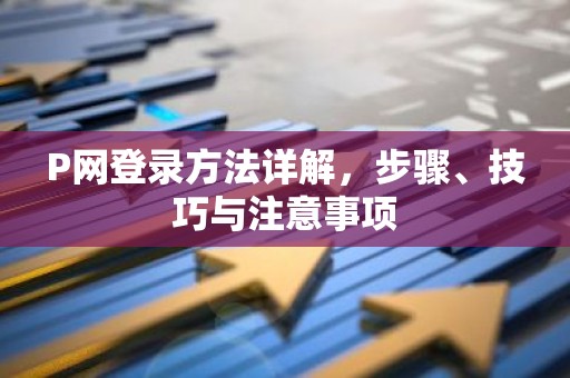 P网登录方法详解，步骤、技巧与注意事项