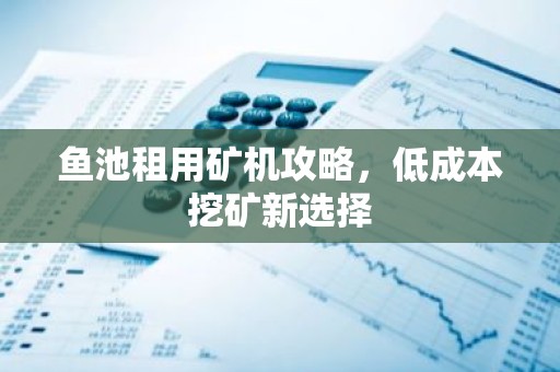 鱼池租用矿机攻略，低成本挖矿新选择