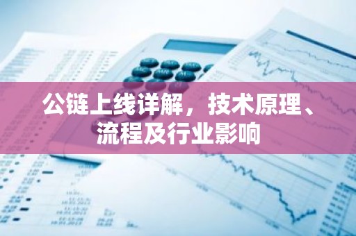 公链上线详解，技术原理、流程及行业影响