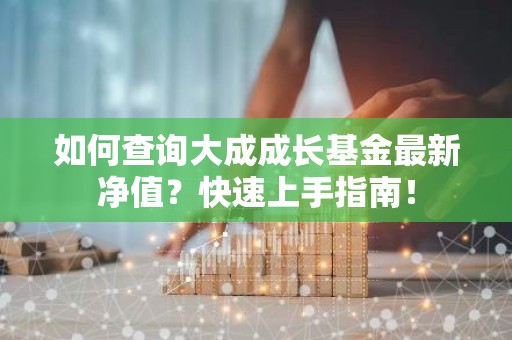 如何查询大成成长基金最新净值？快速上手指南！