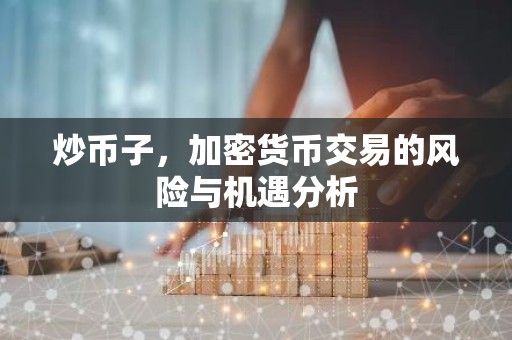 炒币子，加密货币交易的风险与机遇分析