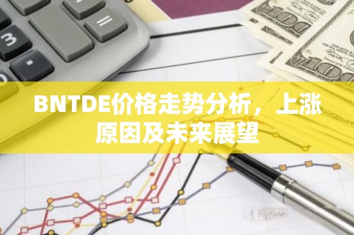 BNTDE价格走势分析，上涨原因及未来展望