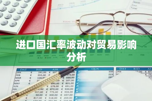 进口国汇率波动对贸易影响分析