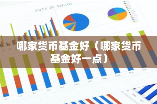 哪家货币基金好（哪家货币基金好一点）