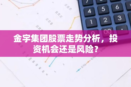 金宇集团股票走势分析，投资机会还是风险？