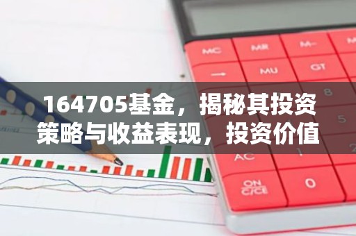 164705基金，揭秘其投资策略与收益表现，投资价值如何？