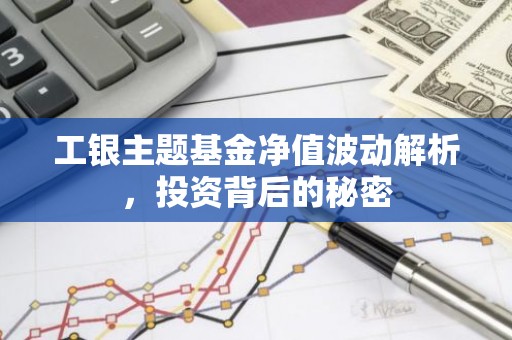 工银主题基金净值波动解析，投资背后的秘密
