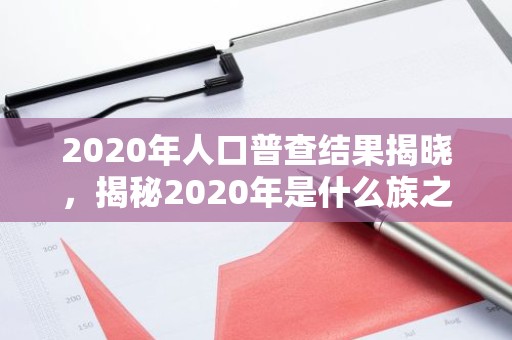2020年人口普查结果揭晓，揭秘2020年是什么族之谜