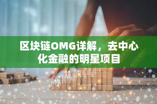 区块链OMG详解，去中心化金融的明星项目
