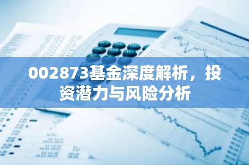 002873基金深度解析，投资潜力与风险分析