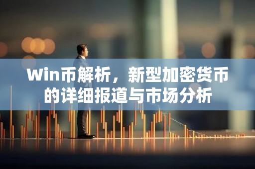 Win币解析，新型加密货币的详细报道与市场分析