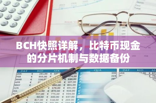 BCH快照详解，比特币现金的分片机制与数据备份