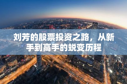 刘芳的股票投资之路，从新手到高手的蜕变历程