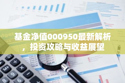 基金净值000950最新解析，投资攻略与收益展望