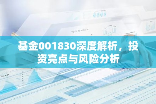 基金001830深度解析，投资亮点与风险分析