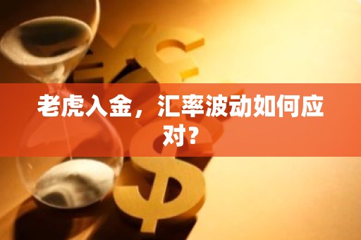 老虎入金，汇率波动如何应对？