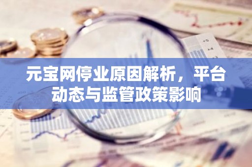 元宝网停业原因解析，平台动态与监管政策影响