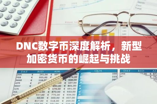 DNC数字币深度解析，新型加密货币的崛起与挑战