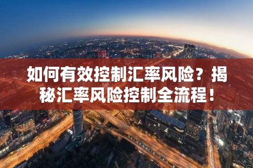 如何有效控制汇率风险？揭秘汇率风险控制全流程！