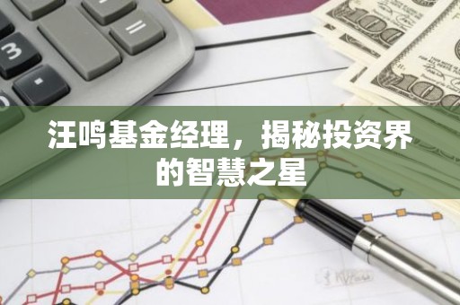 汪鸣基金经理，揭秘投资界的智慧之星
